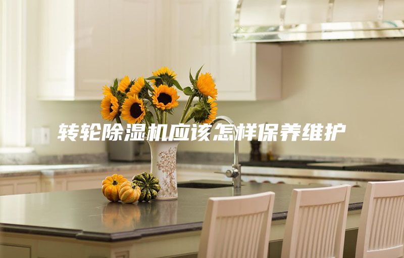 转轮除湿机应该怎样保养维护