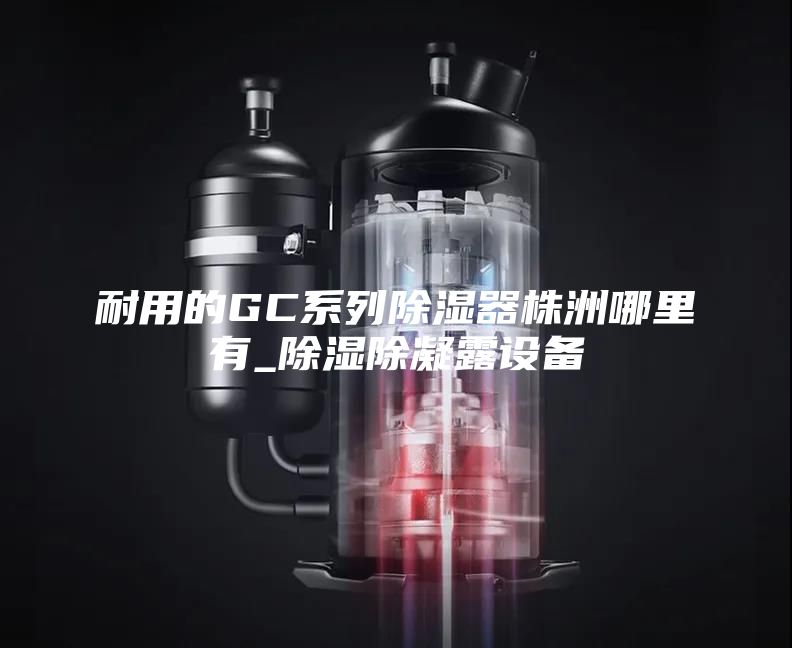 耐用的GC系列除湿器株洲哪里有_除湿除凝露设备