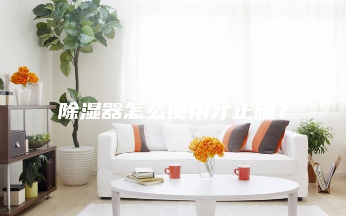 除湿器怎么使用才正确？