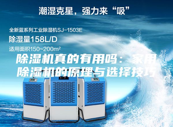 除湿机真的有用吗：家用除湿机的原理与选择技巧