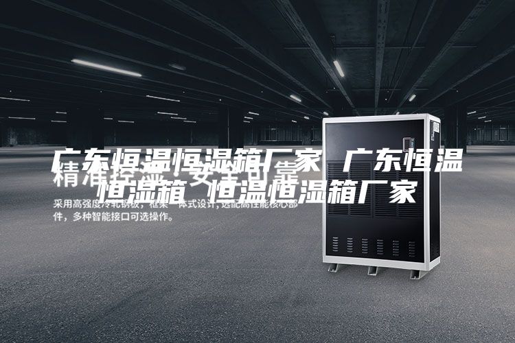 广东恒温恒湿箱厂家 广东恒温恒湿箱 恒温恒湿箱厂家