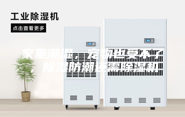 家里潮湿，宠物也受不了，除湿防潮还需除湿机