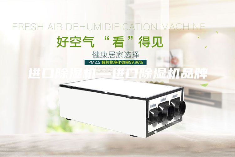 进口除湿机—进口除湿机品牌介绍