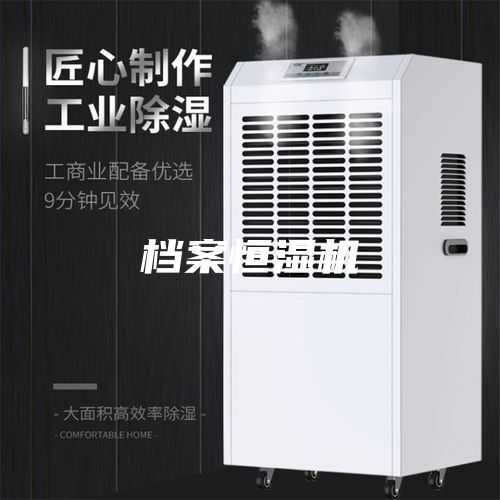 档案恒湿机
