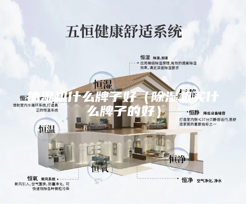 抽湿机什么牌子好（除湿机买什么牌子的好）