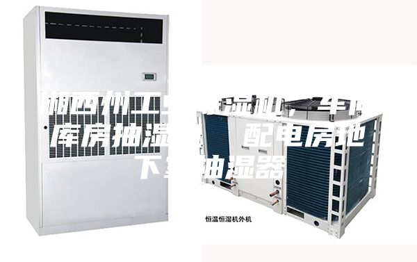 湘西州工业除湿机，车间库房抽湿机  配电房地下室抽湿器