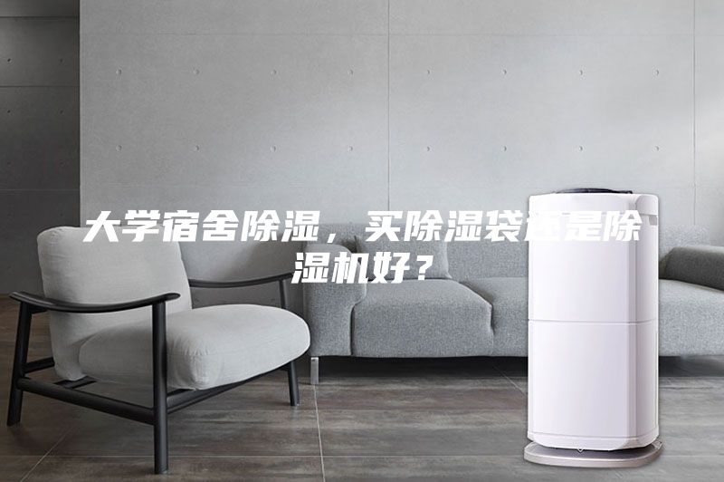 大学宿舍除湿，买除湿袋还是除湿机好？