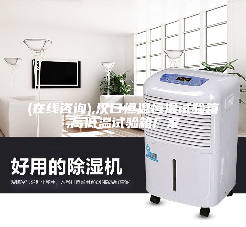 (在线咨询),汉口恒温恒湿试验箱,高低温试验箱厂家
