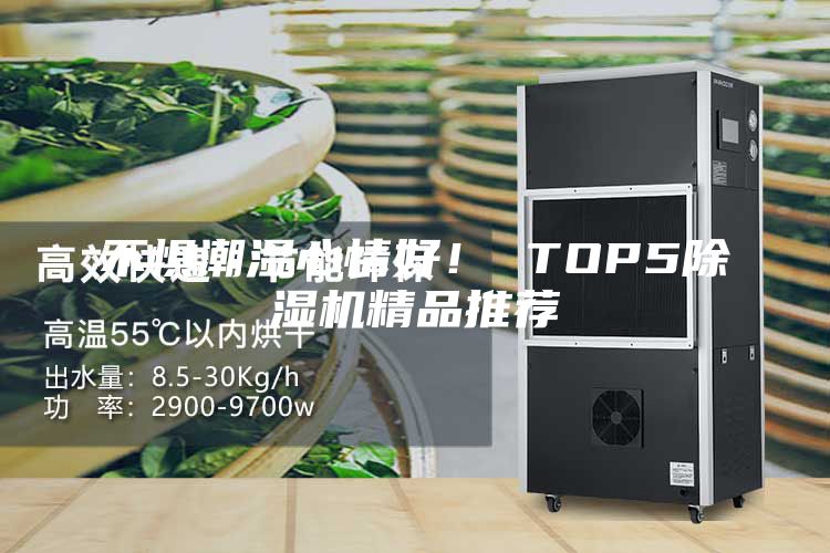 不惧潮湿心情好！ TOP5除湿机精品推荐