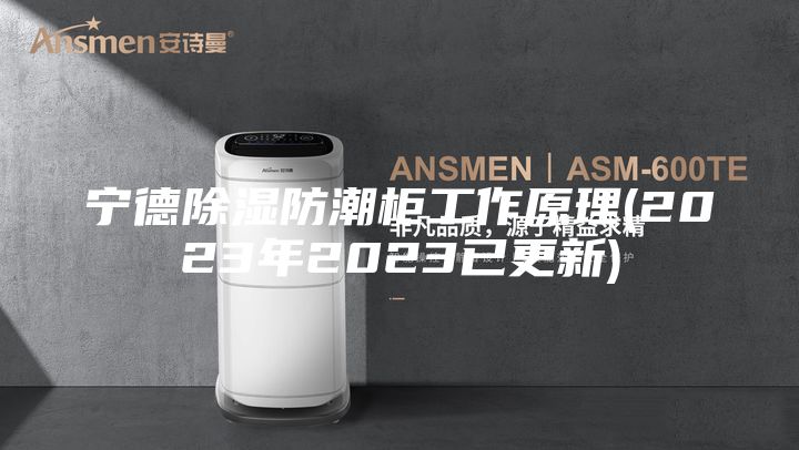 宁德除湿防潮柜工作原理(2023年2023已更新)