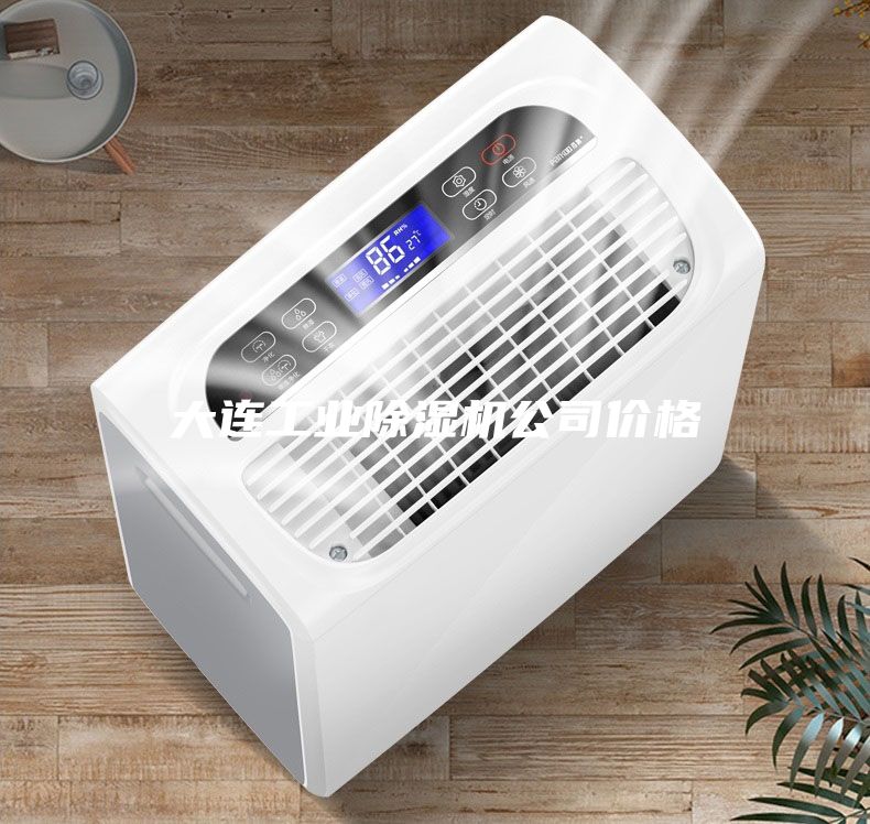 大连工业除湿机公司价格
