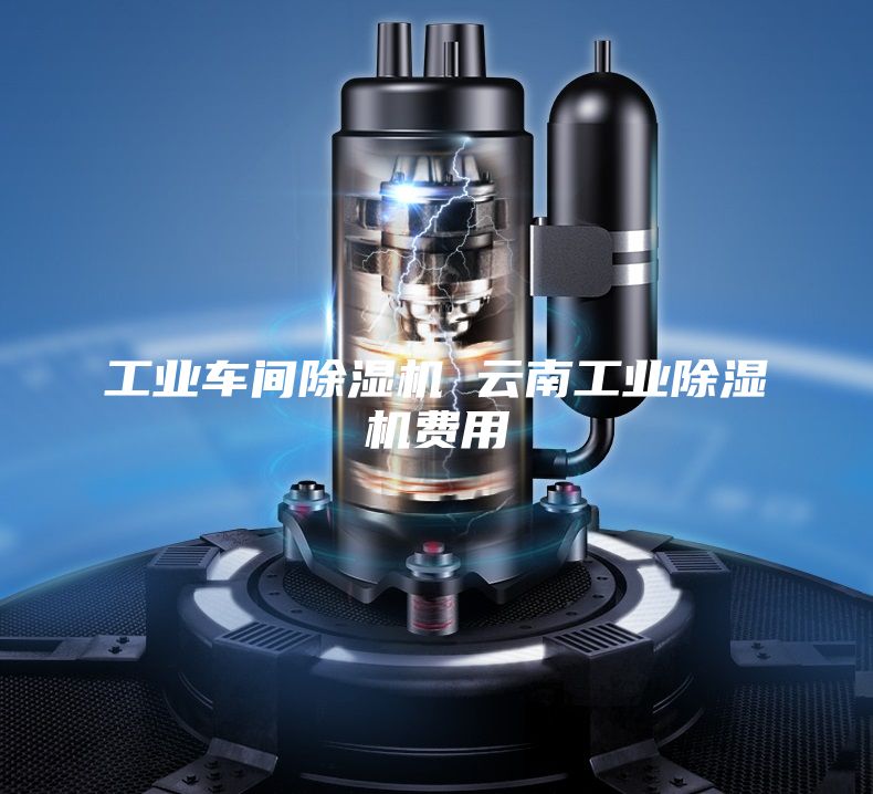 工业车间除湿机 云南工业除湿机费用