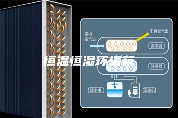 恒温恒湿环境箱