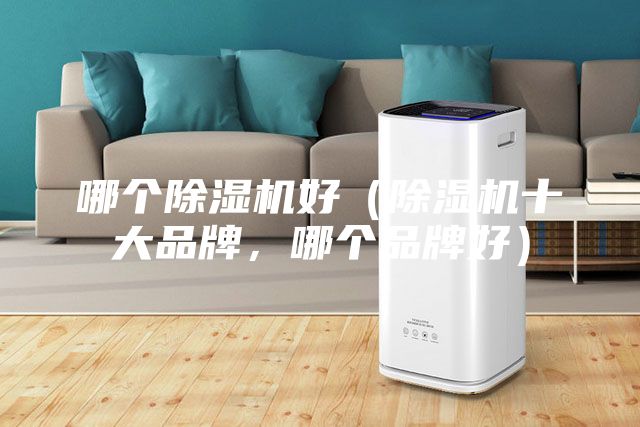 哪个除湿机好（除湿机十大品牌，哪个品牌好）