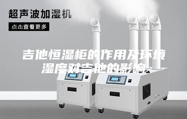 吉他恒湿柜的作用及环境湿度对吉他的影响