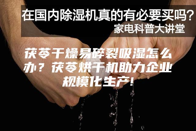 茯苓干燥易碎裂吸湿怎么办？茯苓烘干机助力企业规模化生产!