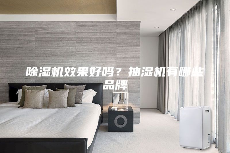 除湿机效果好吗？抽湿机有哪些品牌