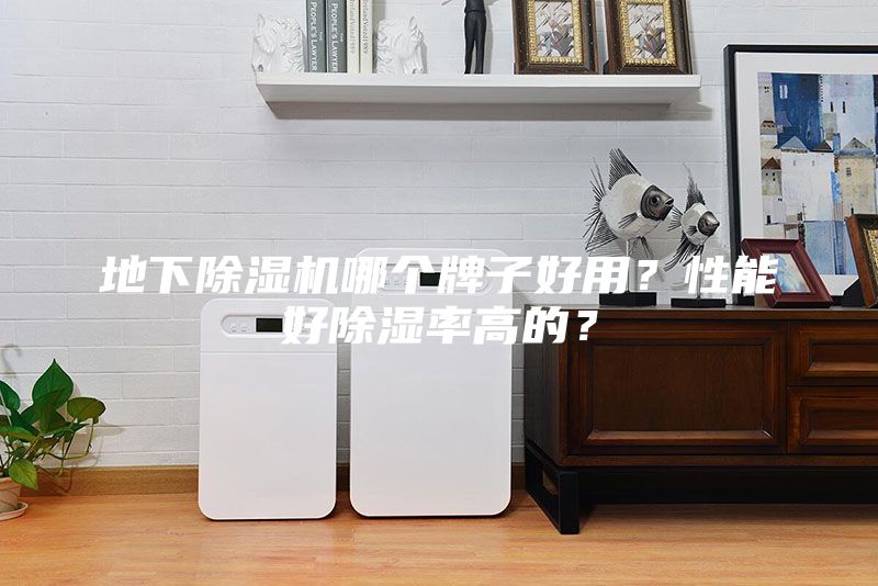 地下除湿机哪个牌子好用？性能好除湿率高的？