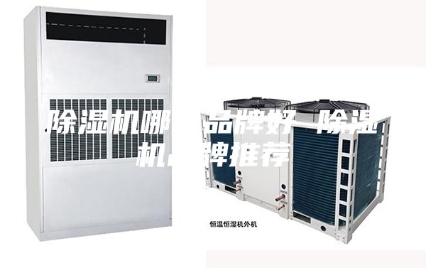 除湿机哪个品牌好 除湿机品牌推荐