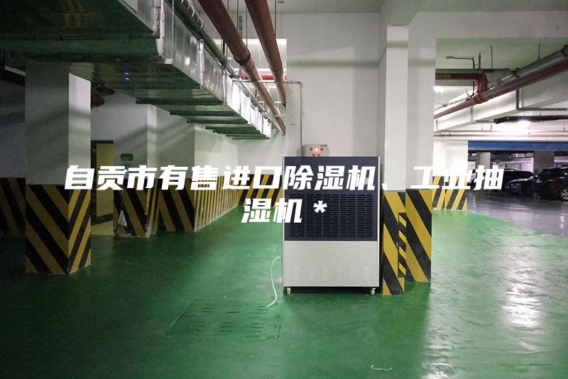 自贡市有售进口除湿机、工业抽湿机＊