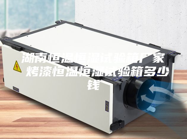 湖南恒温恒湿试验箱厂家 烤漆恒温恒湿试验箱多少钱