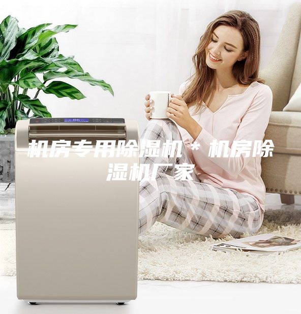 机房专用除湿机＊机房除湿机厂家