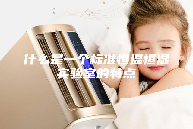什么是一个标准恒温恒湿实验室的特点