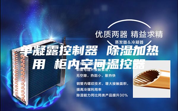 单凝露控制器 除湿加热用 柜内空间温控器
