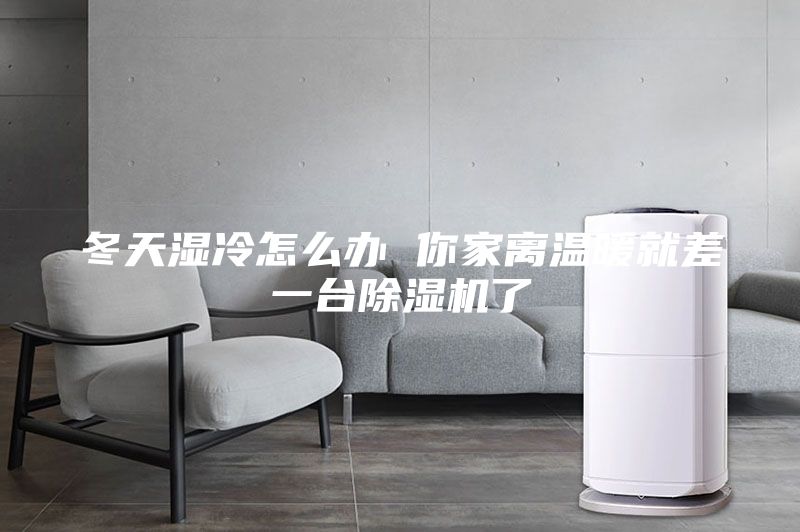 冬天湿冷怎么办 你家离温暖就差一台除湿机了
