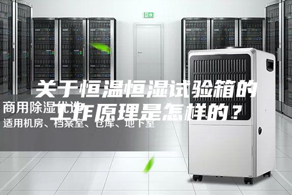 关于恒温恒湿试验箱的工作原理是怎样的？