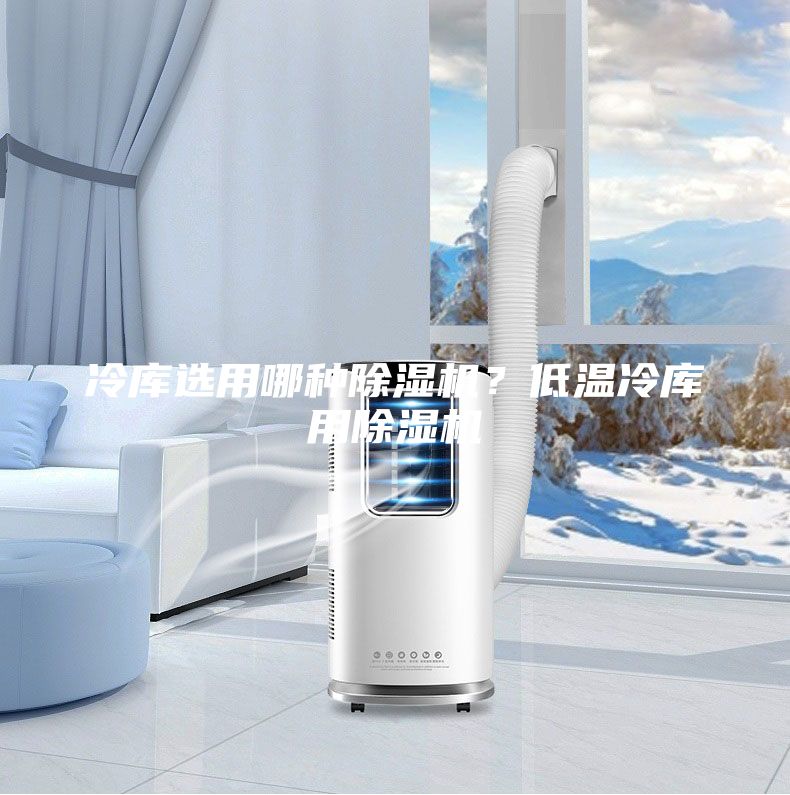 冷库选用哪种除湿机？低温冷库用除湿机