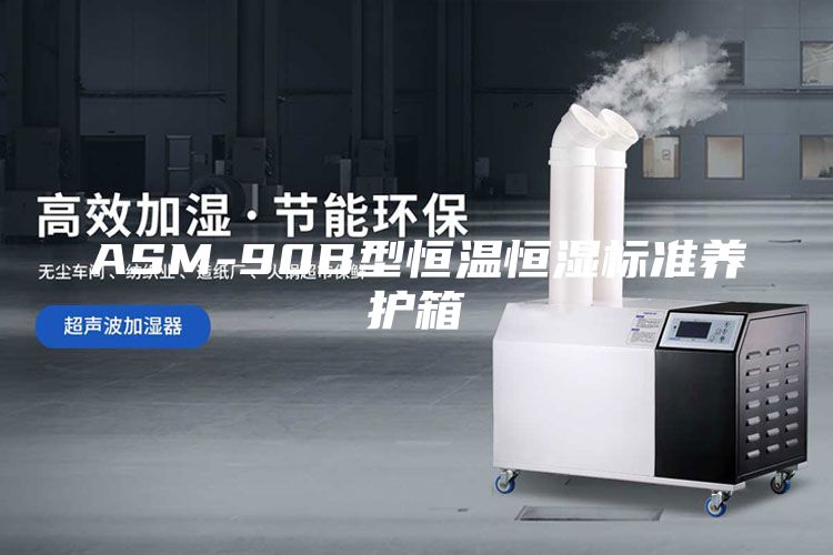 ASM-90B型恒温恒湿标准养护箱