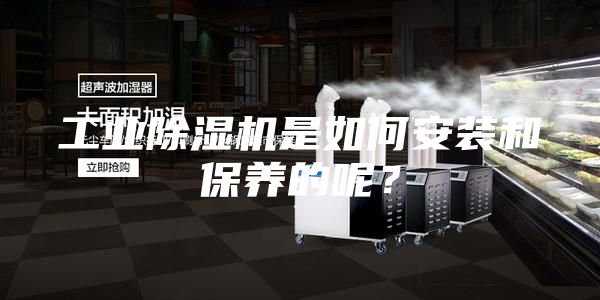 工业除湿机是如何安装和保养的呢？