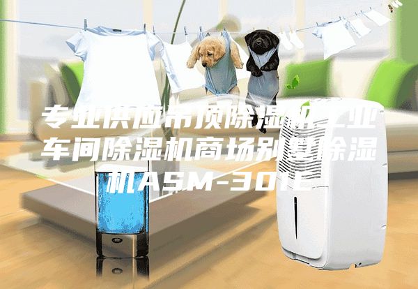 专业供应吊顶除湿机工业车间除湿机商场别墅除湿机ASM-301E