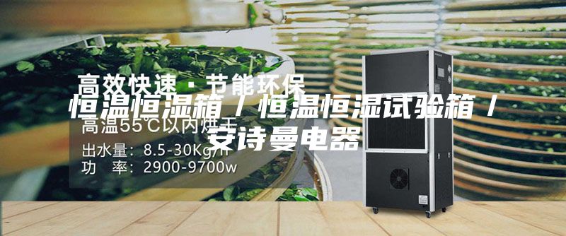 恒温恒湿箱／恒温恒湿试验箱／安诗曼电器