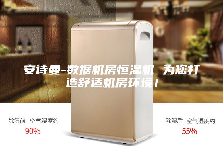 安诗曼-数据机房恒湿机 为您打造舒适机房环境！