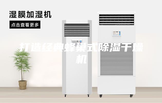 打造经典蜂巢式除湿干燥机