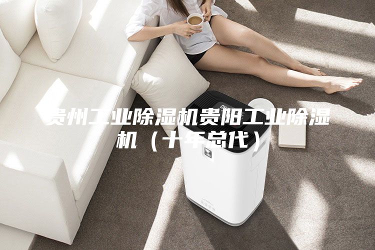 贵州工业除湿机贵阳工业除湿机（十年总代）