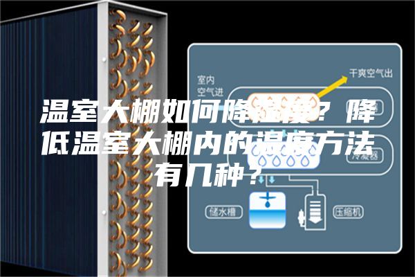 温室大棚如何降湿度？降低温室大棚内的湿度方法有几种？