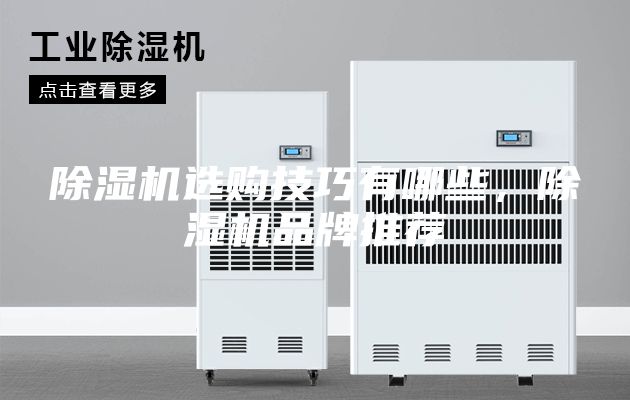 除湿机选购技巧有哪些，除湿机品牌推荐