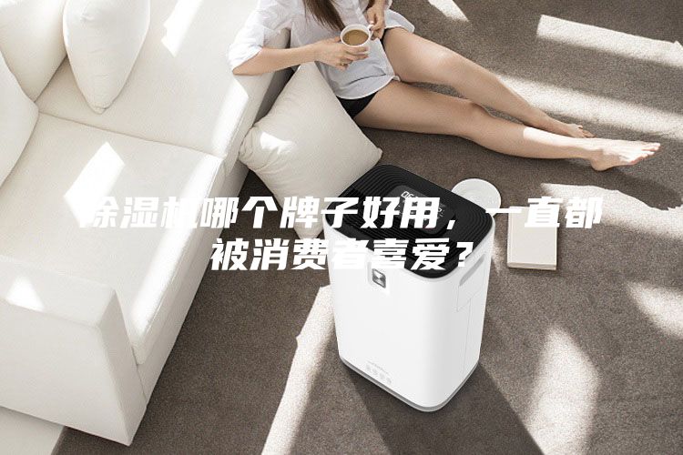 除湿机哪个牌子好用，一直都被消费者喜爱？