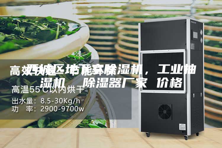 西城区地下室除湿机，工业抽湿机  除湿器厂家 价格