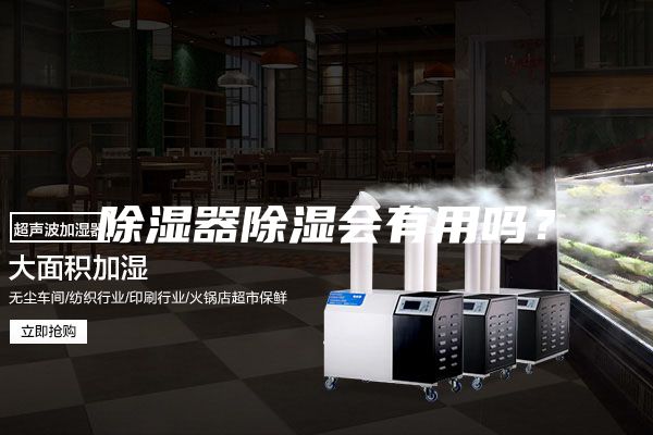 除湿器除湿会有用吗？