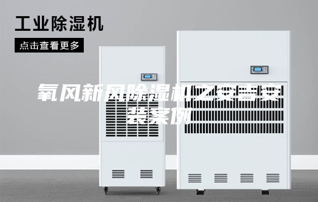 氧风新风除湿机之安吉安装案例
