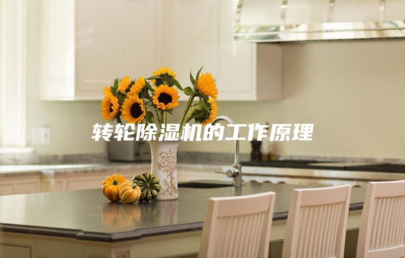 转轮除湿机的工作原理