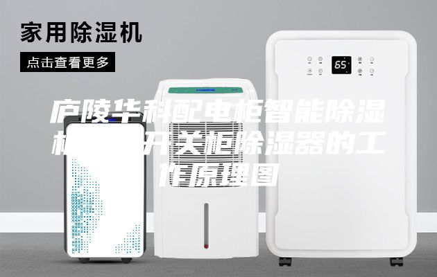 庐陵华科配电柜智能除湿机装置开关柜除湿器的工作原理图