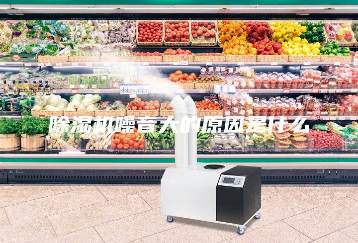 除湿机噪音大的原因是什么