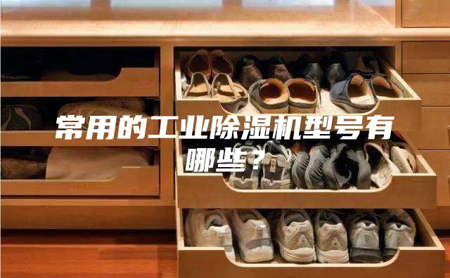 常用的工业除湿机型号有哪些？