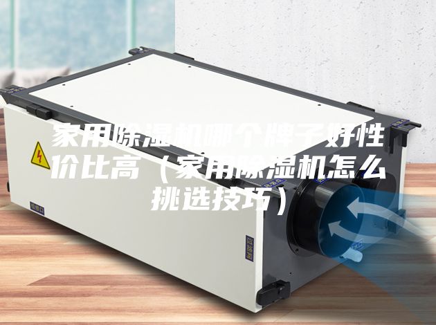 家用除湿机哪个牌子好性价比高（家用除湿机怎么挑选技巧）