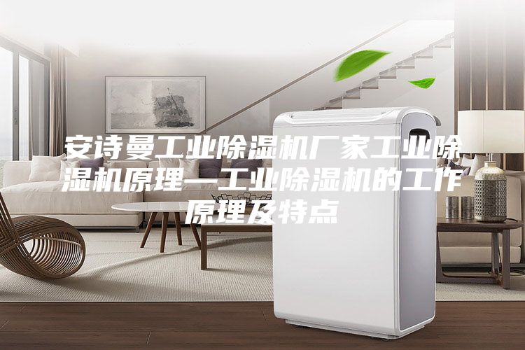 安诗曼工业除湿机厂家工业除湿机原理—工业除湿机的工作原理及特点